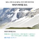 스위스 액티비티 하이킹 한국인 가이드 투어 단돈 3만 원 | 융프라우 루체른 발레주 인기 하이킹 코스 추천