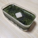 크레이저커피 수원성대점
