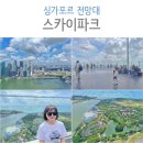 싱가포르 마리나베이샌즈 전망대 스카이파크 무료 입장권 예약 후기