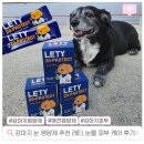 안녕, 내강아지 | 강아지 눈 영양제 추천 레티, 눈물자국 지우개 피부 케어 후기