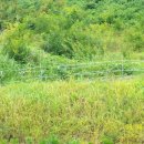 부인농원 이미지