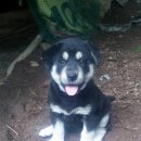 은별농장 이미지