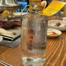 주희네식당 | 마지막 20대 한달에 일어난 모든 일 (멕시타이거 • 참치논데 • 원소주 화용 후기)