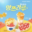 대양빌딩 | 요거트월드 신상 양쯔간루 고체 양쯔간루 내돈내산 후기