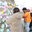 양평1동-4 이미지