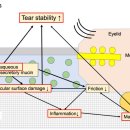 잠실미소약국 이미지