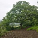 고산촌2 Daum카페