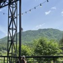 킹덤키즈 이미지