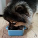 뭉뭉상점 이미지