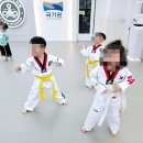 태아일체 선호 태권도장 이미지