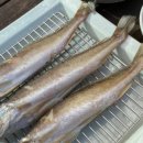 충장로446번길 이미지