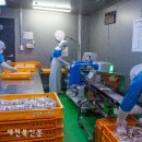 콩사랑마을기업 이미지