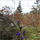 도장골2 이미지