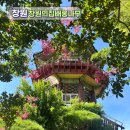 역사교실 | 경남 창원 가볼 만한 곳 배롱나무 명소 창원의집 전통한옥