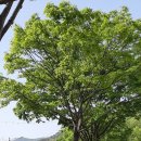 홍의인농장 이미지