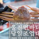 울진대게 이미지
