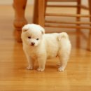 카페이름 - 원주시 운곡로 264-4 | 카페이름