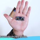 주니어 인터넷세상 이미지