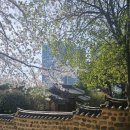 부산분포우체국(1층) 이미지