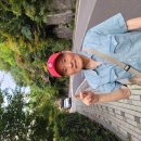 다 보이는 세상 이미지