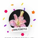 2020-주151 | [공지] 90일 동안 네이버 블로그와 인스타그램 연동 시 - 네이버 애드포스트 수입 현황