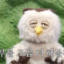 딩동댕 이미지