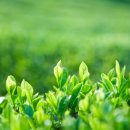 백합네거리(농협) 이미지