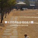 반려동물 테마파크 | 오산 반려동물테마파크 솔직후기