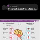 라파엘브릿지 이미지