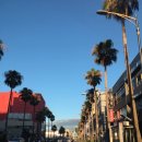 야자수 노래연습장 이미지