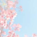 바디앤왁싱이지 이미지