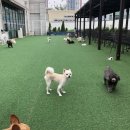 독탑라운지 이미지