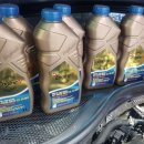 카데렐라 이미지