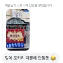 신촌로 47번길R | 시즌 말까지 가져갈 내 도파민. 부산아이파크 vs 수원삼성 직관 후기 (2025 K리그2 28R)
