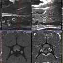도하동물병원 이미지