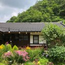 꽃피는 무릉도원 이미지