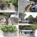 한산초등학교좌도분교장 Daum카페
