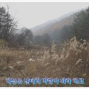 방내리 가마소 Daum카페