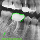 다음플러스치과의원 이미지