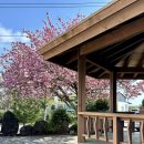 선흘1리경로당 이미지