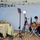 팡팡라이브