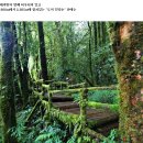 특별산행:치앙마이+매땡강+도이인타논.정글트레킹 2017년5월21일(일)~25(목) 5일 이미지
