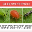 (주)핸즈아이 이미지
