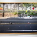 제9회 심미포토 사진전 | 제9회 프린지 포토 페스티벌 Fringe Photo Festival 우수작가전 - 갤러리 Moon 101 전시 후기