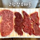 고향마을 | 시흥 정왕동 소고기 맛집 고향참우마을 참우스페셜모둠 후기 연말 모임 추천