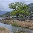 운장산 넘는길 이미지