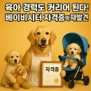 초등중국어아카데미(사내1,2,3급) | 육아 경력도 커리어 된다! 베이비시터 자격증의 재발견