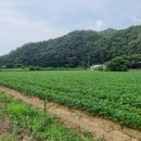 금교농장 이미지