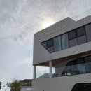 데이바이디 이미지