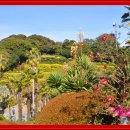 외도보타니아 이미지